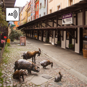 Szemrana uliczka, czyli przygoda na Odrzańskiej – spacer z audiodeskrypcją.