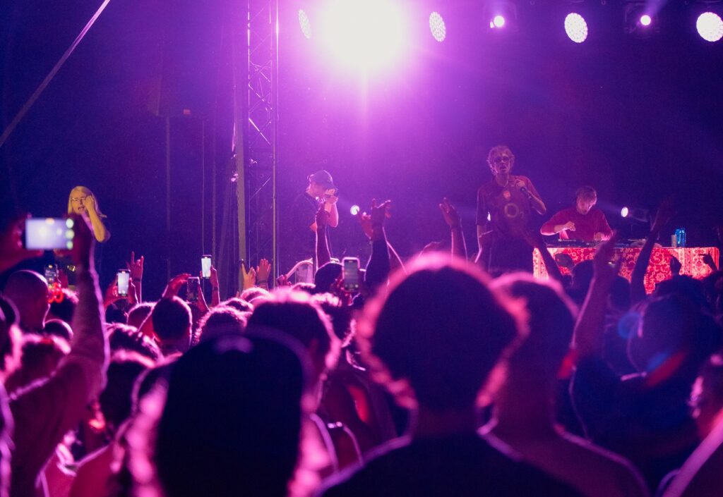 Zdjęcie z koncertu. W fioletowym świetle widać tłum ludzi skierowanych ku scenie. Jedna osoba nagrywa koncert telefonem. Po lewej stronie sceny tłumaczka PJM.